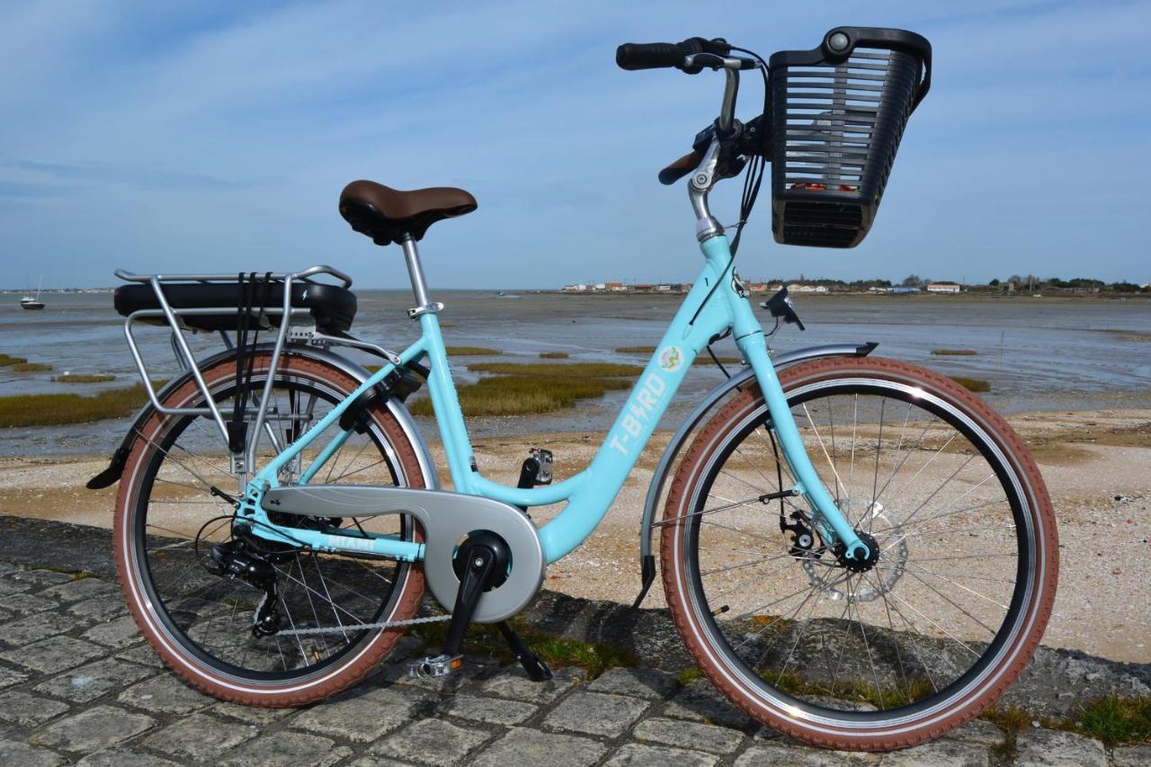 Elma Stay Location Lalbatros Saint-Pierre-d'Oleron Bagian luar foto